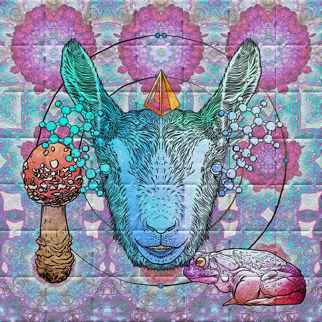 SGOA-642