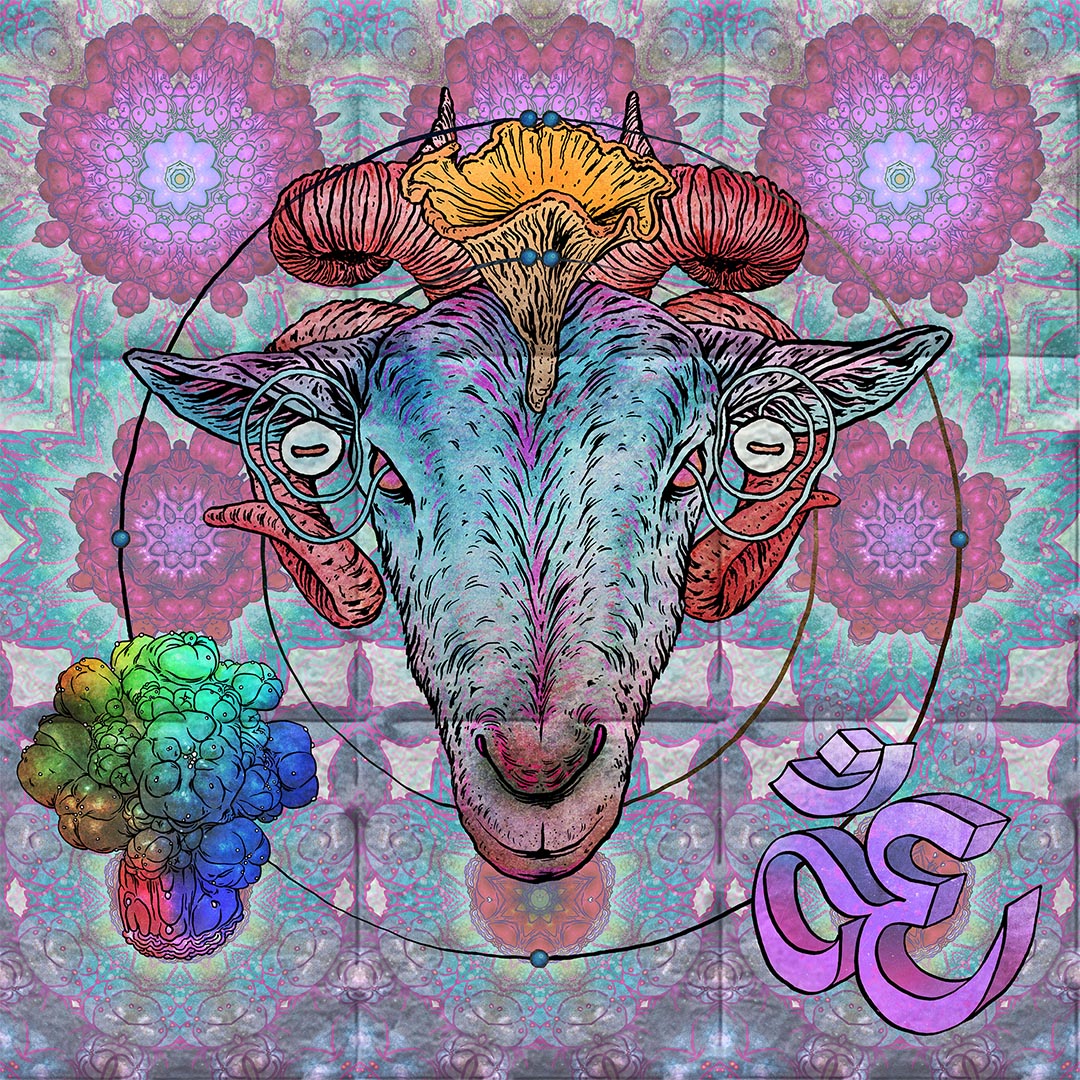 SGOA-Sample